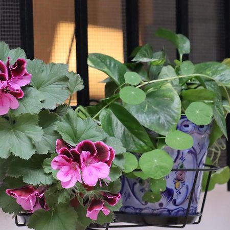 Apartamento Corral De Triana Seville Luaran gambar